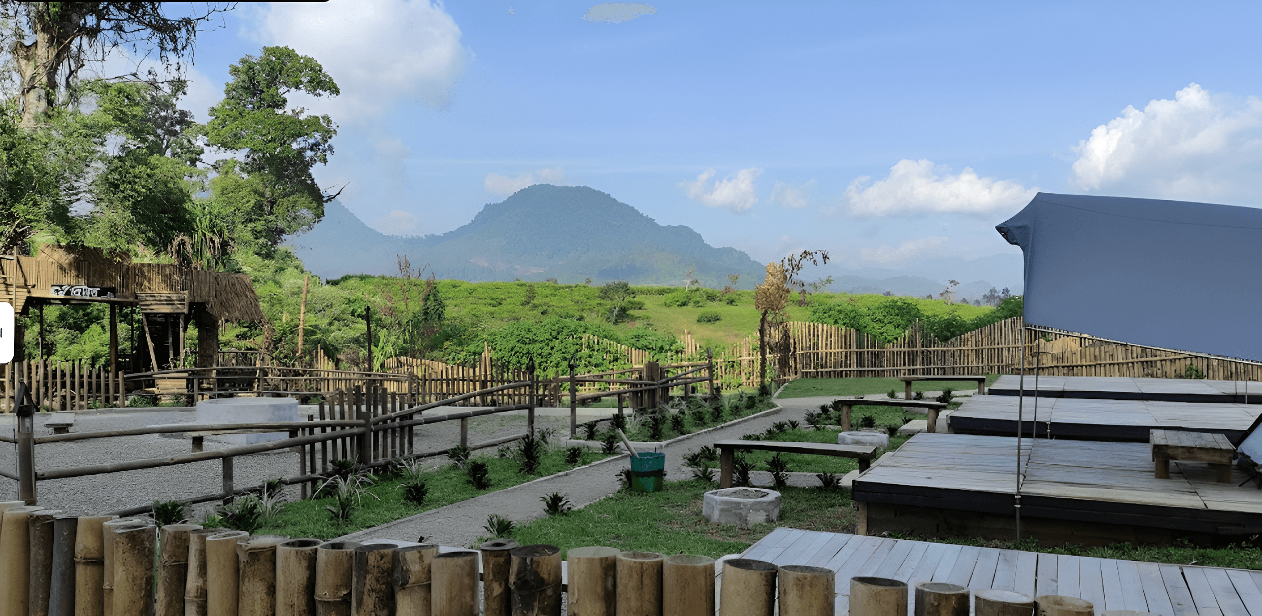Teh Jangkung Malabar